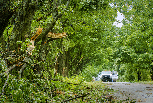 Photo showing wind storm damage