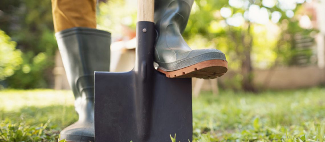 Close-up shot of an unrecognizable gardener standing in his backyard with shovel pinned to the ground.
