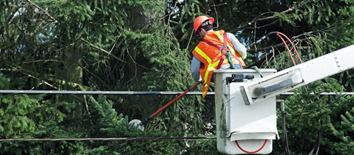 tree trimmer in bucket