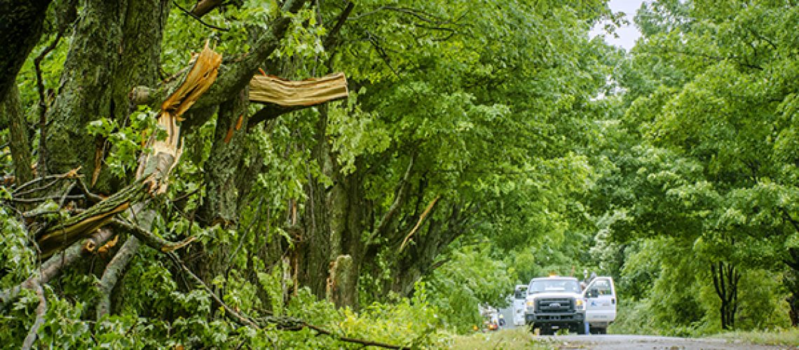 Photo showing wind storm damage